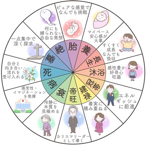 四長生|四柱推命の十二運とは？年柱・月柱・時柱とあわせて。